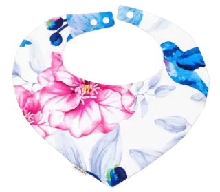 Slintáček s kolibříky